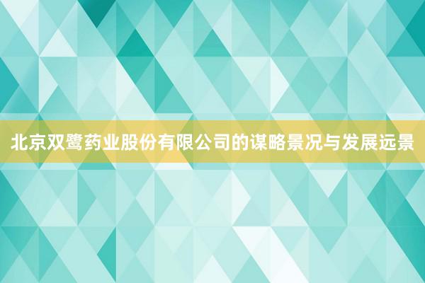 北京双鹭药业股份有限公司的谋略景况与发展远景
